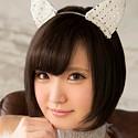 一星キメラのプロフィール写真