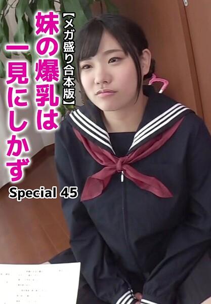 【メガ盛り合本版】妹の爆乳は一見にしかず Special 45