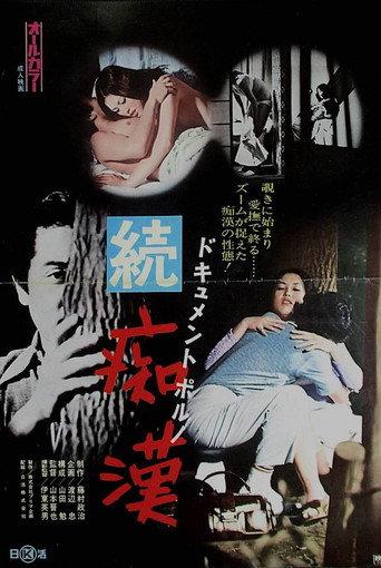 ドキュメントポルノ　続・痴漢