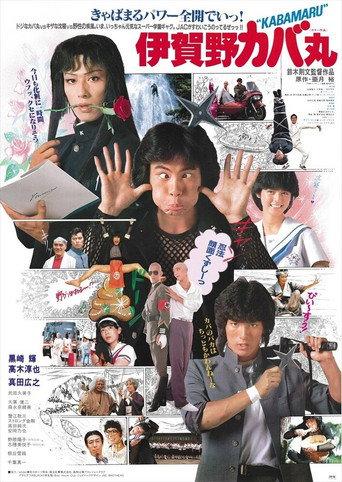 伊賀野カバ丸