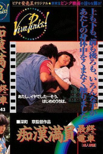 痴漢最終電車