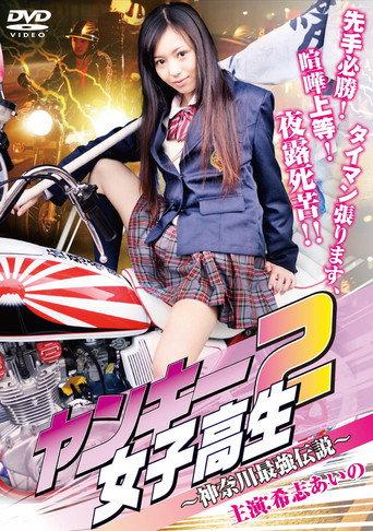 ヤンキー女子高生2 ～神奈川最強伝説～