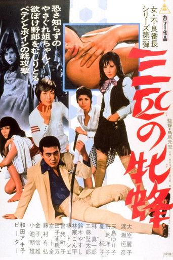 三匹の牝蜂