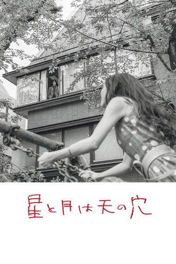 星と月は天の穴