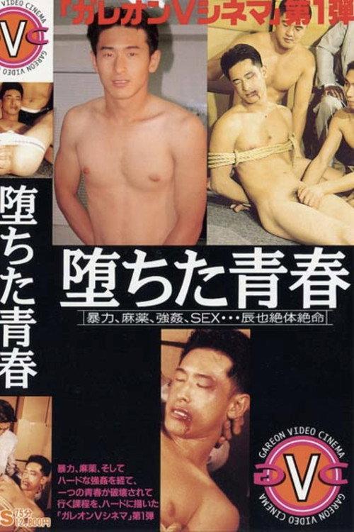 堕ちた青春