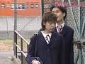 サンプル17