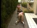 サンプル27