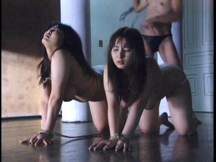 サムネイル 13