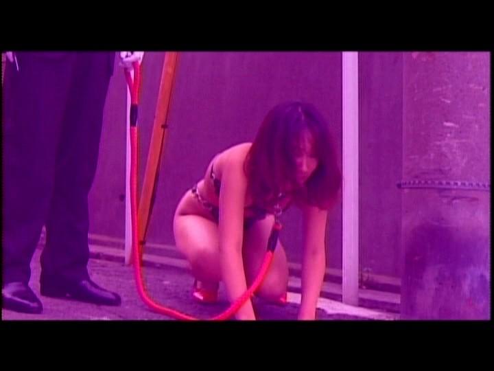 サムネイル 13