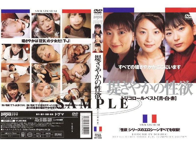 堤さやかの性欲 トリコロールベスト[青・白・赤]