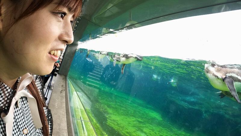 サムネイル 3