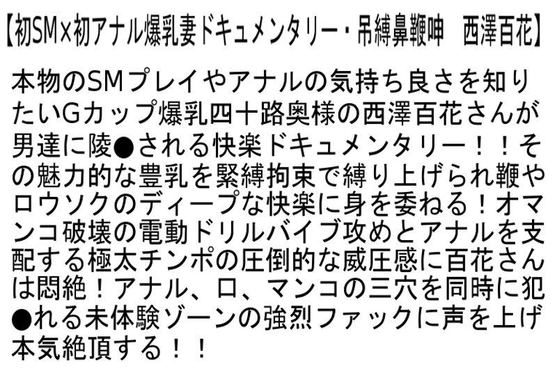 サムネイル 7