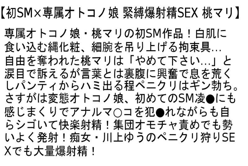 サムネイル 3