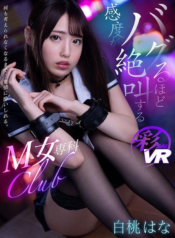 サムネイル 10
