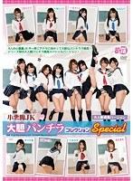 小悪魔JK 大胆パンチラコレクション Special 大人数挑発バージョン （DOD）