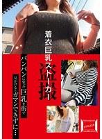 着衣巨乳ストーカー盗撮