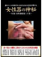 女性器の神秘