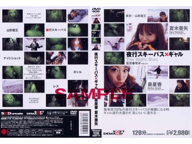 夜行スキーバス×ギャル - 1