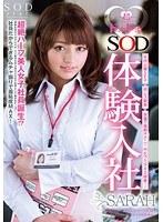 超ドキドキ◆ SOD体験入社 SARAH （DOD）