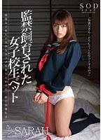 監禁飼育された女子校生ペット SARAH （DOD）