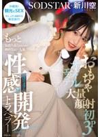 おもちゃ・大量顔射・初3P・オイルエステ もっと気持ち良くなるために初めての一人旅 3泊4日の性感開発トラベラー 新川空