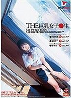 THE 巨乳女子校生 （DOD）