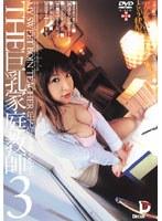 THE 巨乳家庭教師3