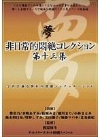 【ベストヒッツ】非日常的悶絶コレクション 第十三集【アウトレット】