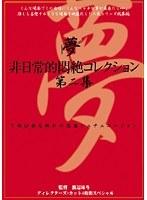 非日常的悶絶コレクション 第二集