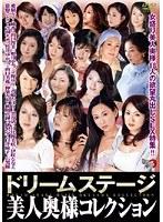 ドリームステージ美人奥様コレクション