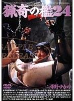 猟奇の檻24 （DOD）
