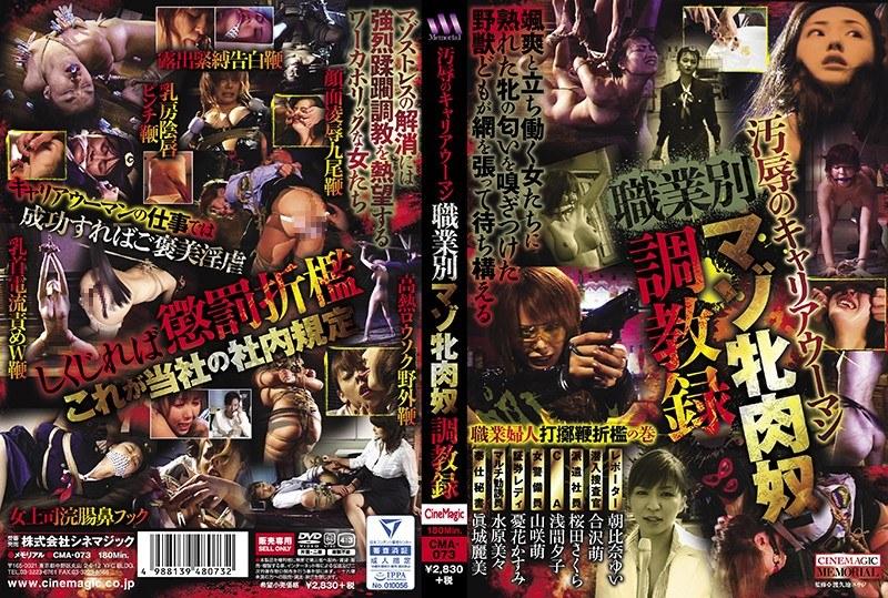 【ベストヒッツ】汚辱のキャリアウーマン 職業別マゾ牝肉奴調教録【アウトレット】 - 1