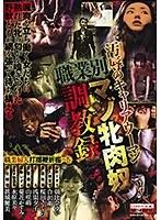 【ベストヒッツ】汚辱のキャリアウーマン 職業別マゾ牝肉奴調教録【アウトレット】