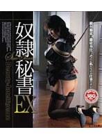 奴●秘書 EX