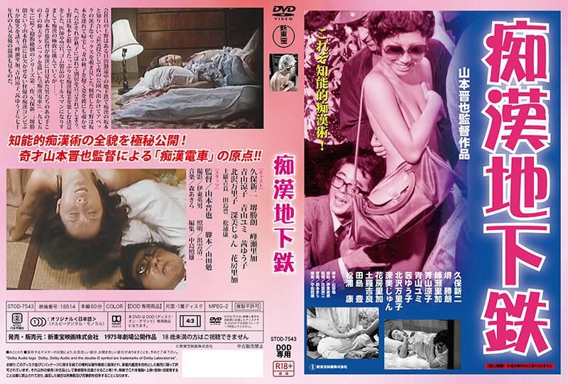 【DOD専用】痴●地下鉄 （DOD） - 1