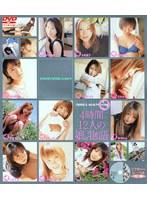 4時間12人の娘。物語