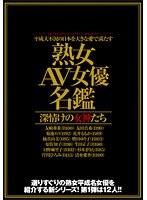 平成大不況の日本を大きな愛で満たす 「熟女AV女優名鑑」 深情けの女神たち