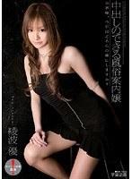 中出しのできる風俗案内嬢 綾波優