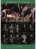 【ベストヒッツ】現役女王様ドラマシリーズ第3弾 私設奴●刑務所【アウトレット】