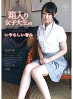 箱入り女子大生のいやらしい営み・あゆみ （DOD）