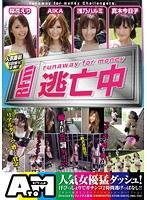 逃亡中 浅乃ハルミ AIKA 真木今日子 桜花えり
