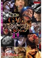 魅惑のGAG・さるぐつわコレクション11