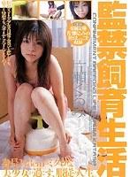 監禁飼育生活 片瀬くるみ