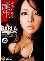 スパニッシュ系美女 安西カルラ誕生