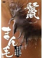 鬣-たてがみ- まん毛 20人4時間