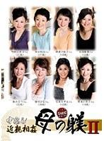 中出し近親相姦 母の躾 II たっぷり4時間デラックス