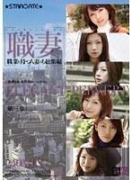 職業を持つ人妻たち 総集編 第三章