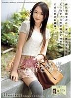 お嬢様クロニクル 11