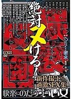 ヘンリー塚本原作 絶対ヌける！猥褻（わいせつ）図画 快楽にのたうついい女-新作撮り下ろし過激SEX集- （DOD）