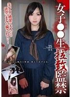 女子○○生 拉致監禁 25 笹木晴